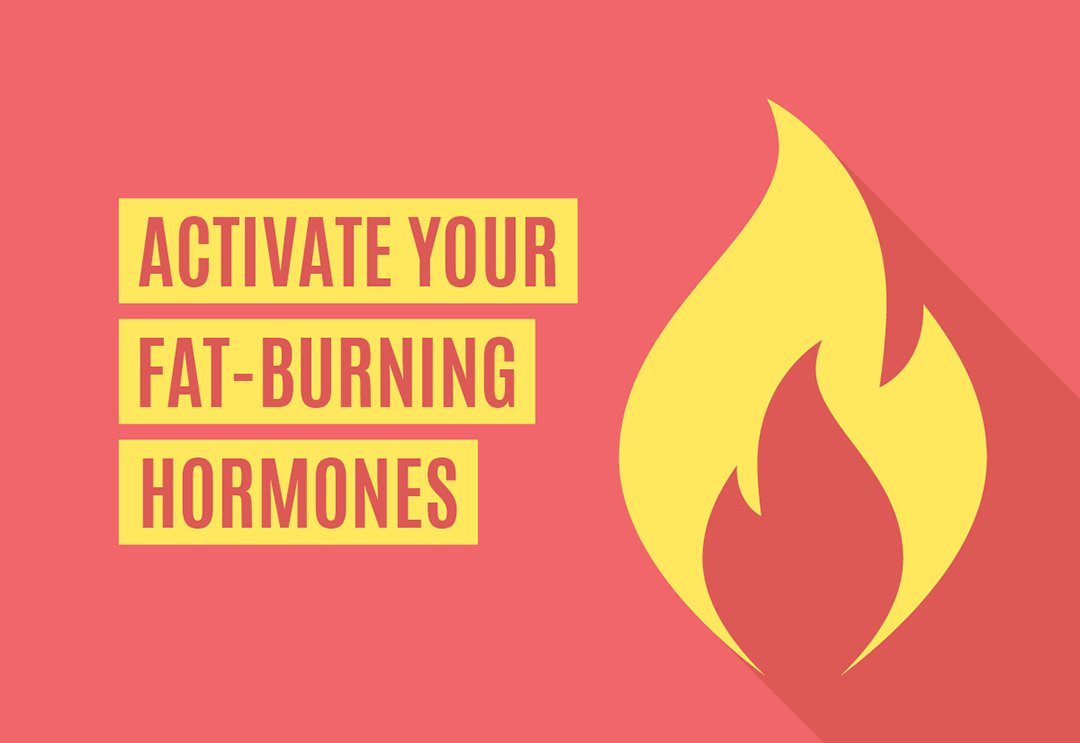 Graphic saying "Activate Your Fat Burning Hormones"