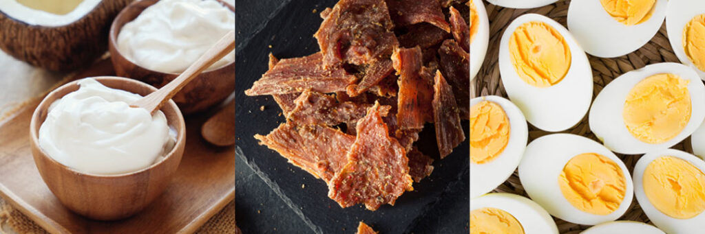 easy high-protein snack options